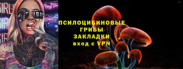 молекула духа Алексин
