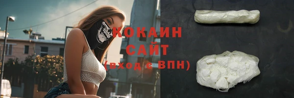 молекула духа Алексин