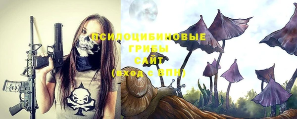твердый Абаза