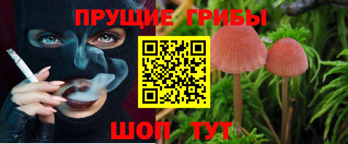 Старая Купавна  Галлюциногенные грибы ЛСД  Вход с VPN 